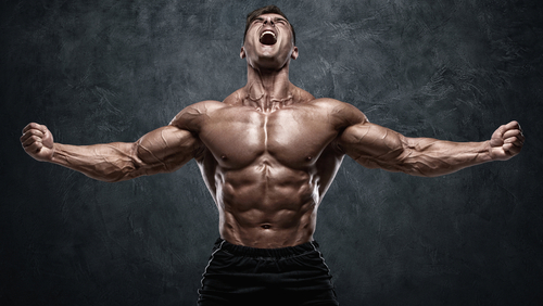 Unlocking the Power: What Is the Main Ingredient in Testosterone Boosters?